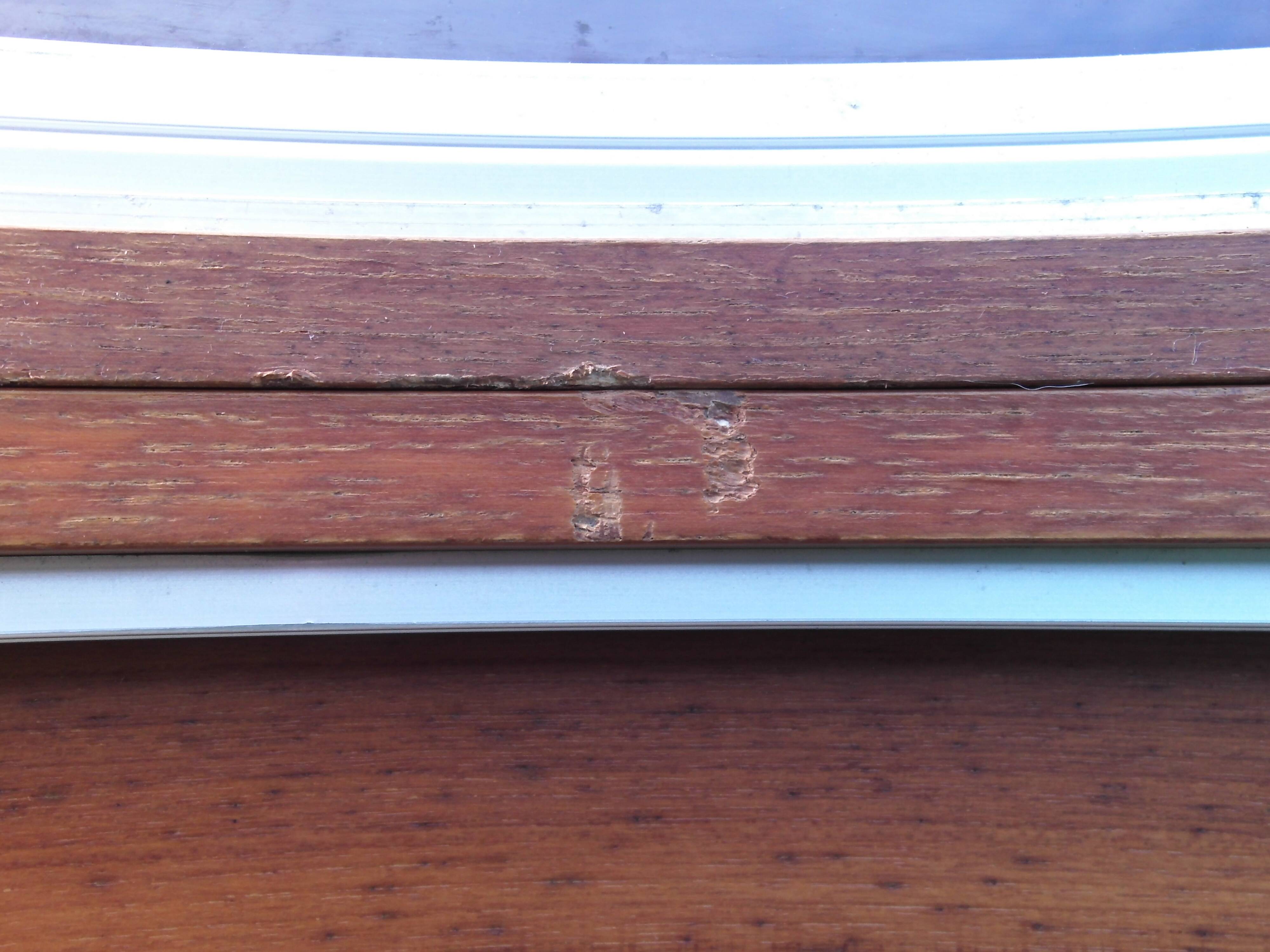 Scandinavian showcase