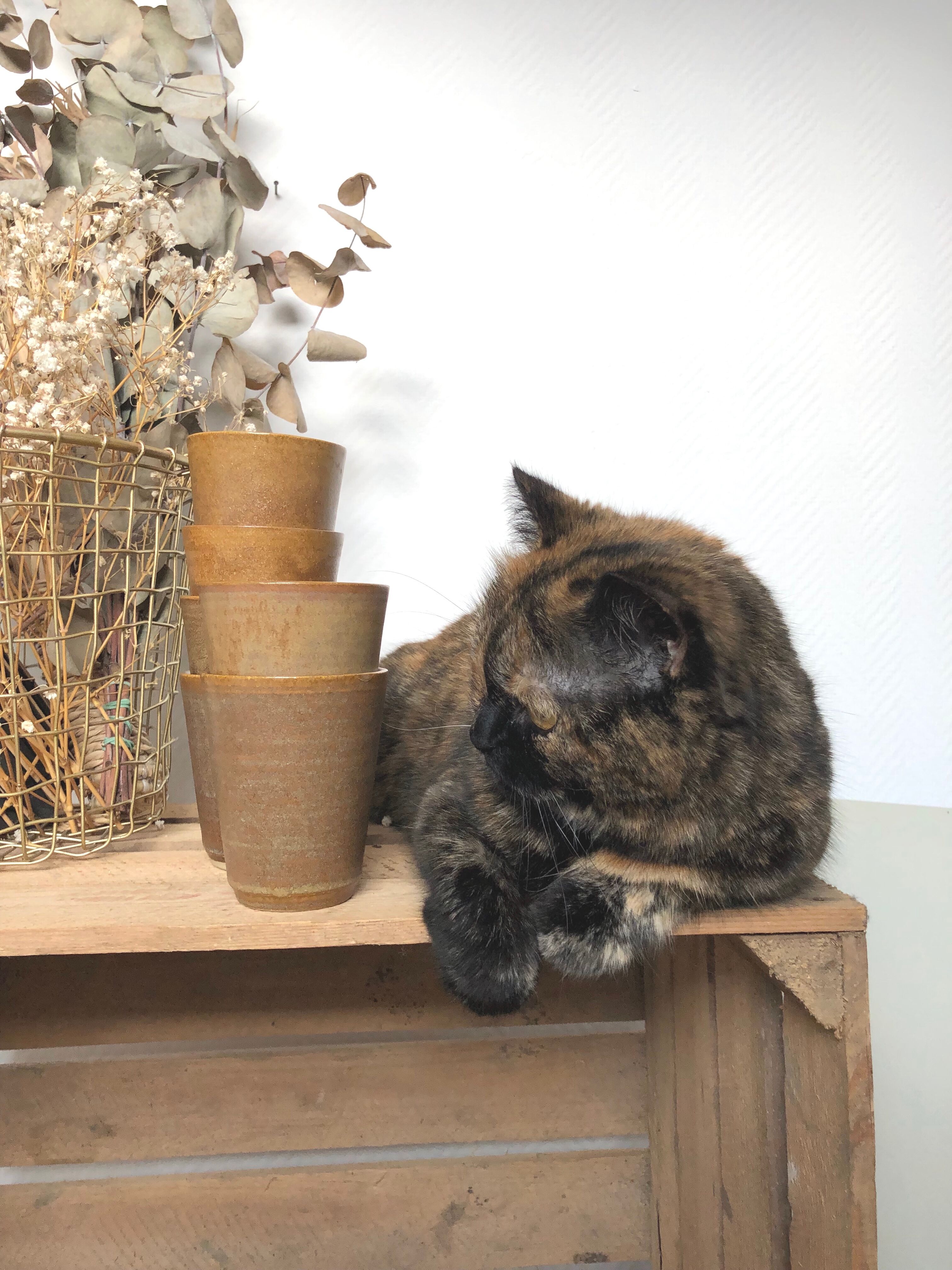 Lot 6 cups in earth-coloured stoneware