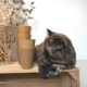 Lot 6 cups in earth-coloured stoneware