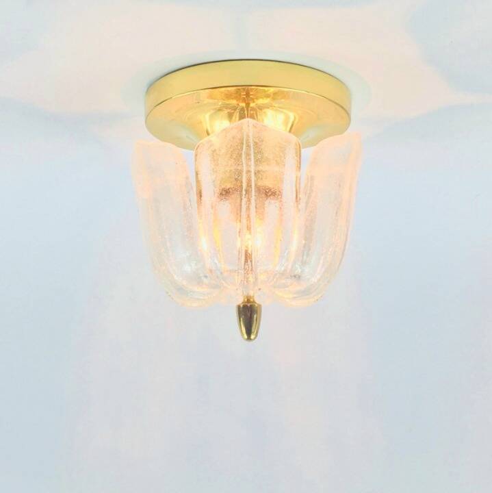 Mid-Century Modern Floral Glass & Brass Ceiling Light from Limburg, 1970s
