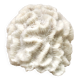 White coral, 70s