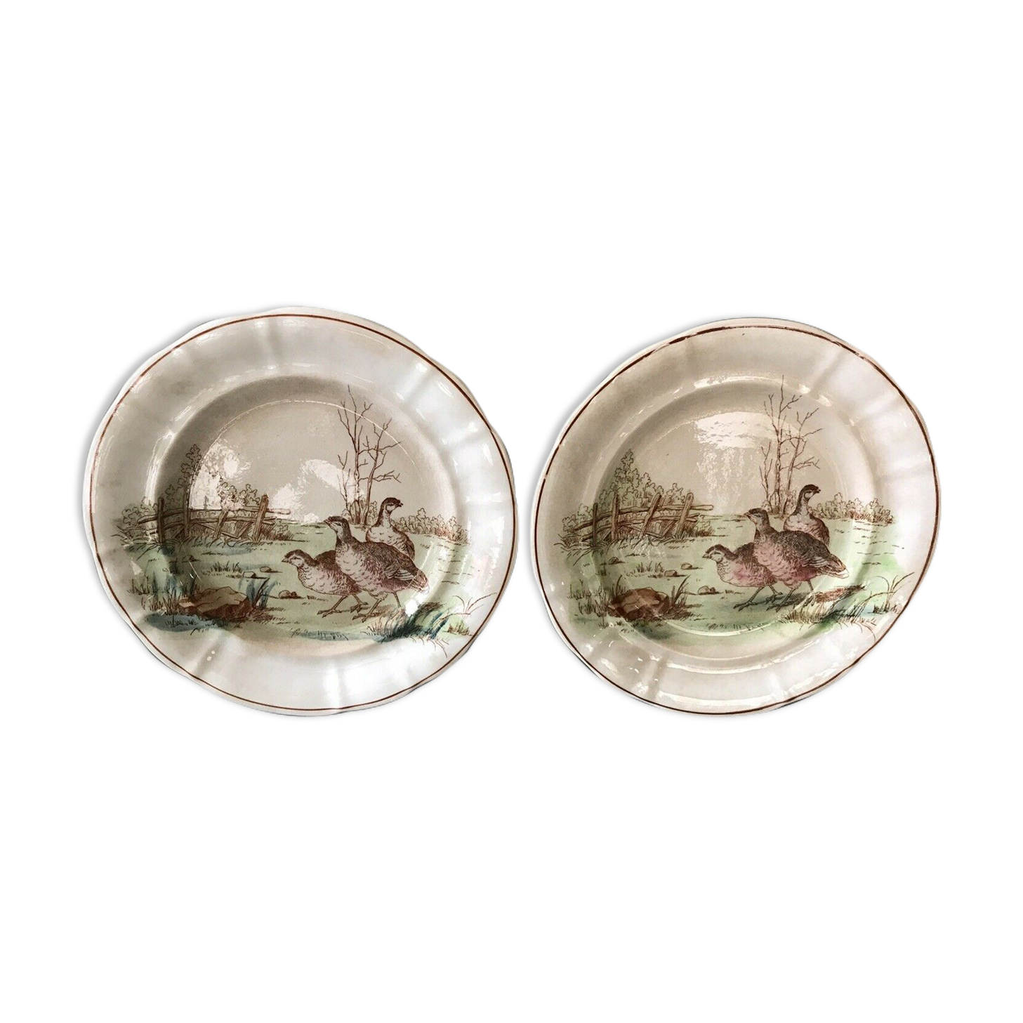 Earthenware of Longwy xix th 2 plates decoration partridge