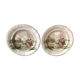 Earthenware of Longwy xix th 2 plates decoration partridge