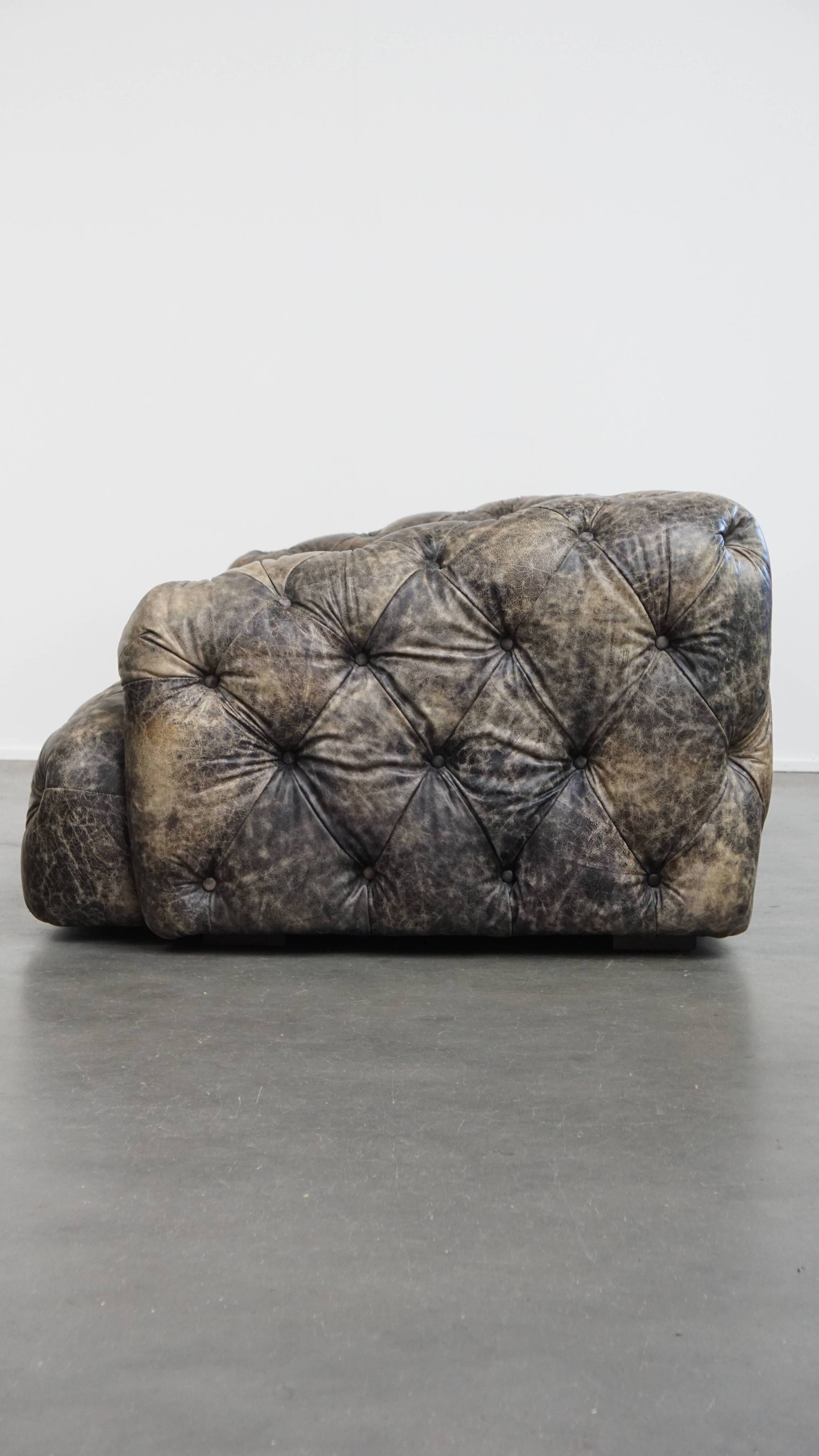 Chesterfield cowhide sofa