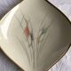 Presentation plate 50s