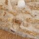 Lampe tulipe baladeuse blanche