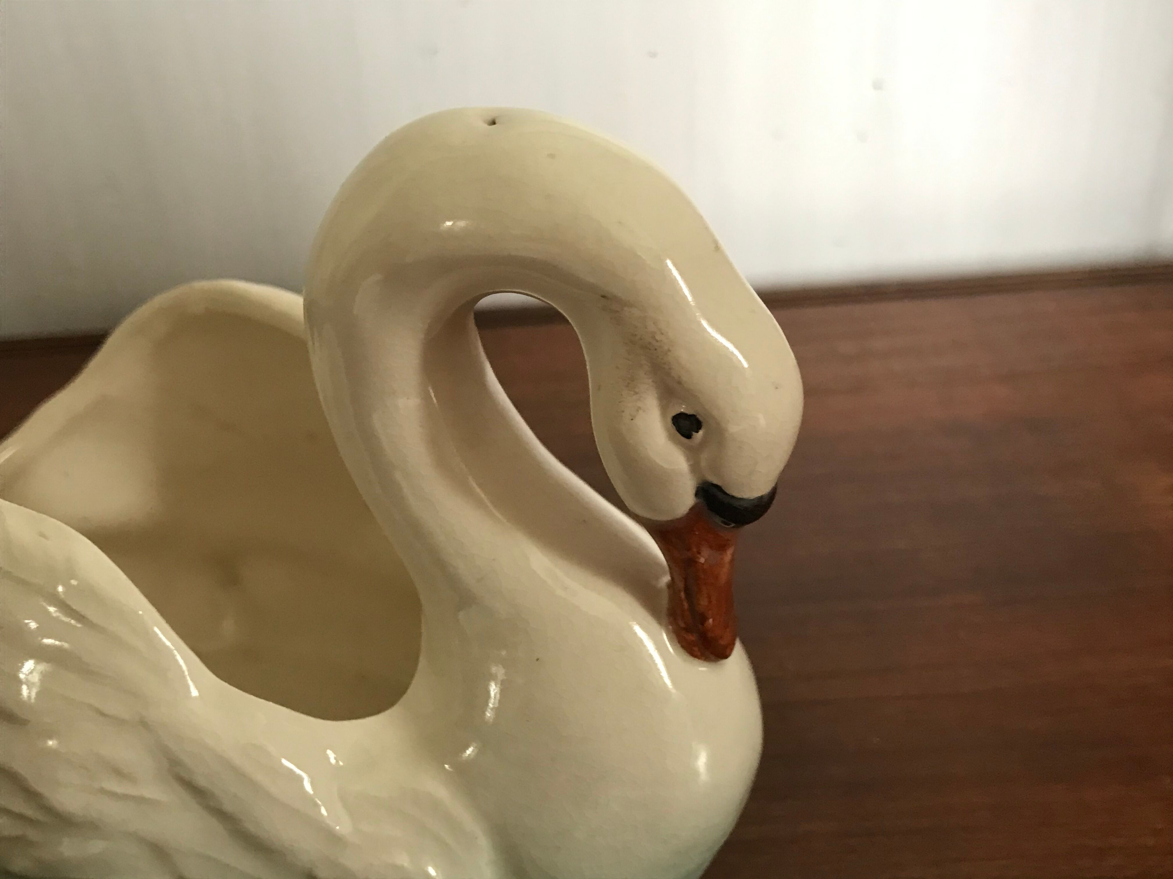 Ancient swan dabbling