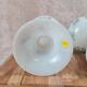 Beautiful pair of pedestal vases in white opaline – old blue decoration.
