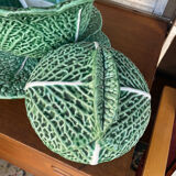 3-piece cabbage salad bowl set