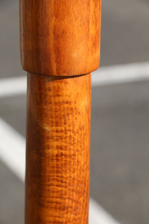 Parrot coat medium baumann beech