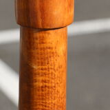 Parrot coat medium baumann beech