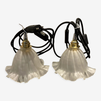 Pair of pendant lights