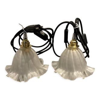 Pair of pendant lights