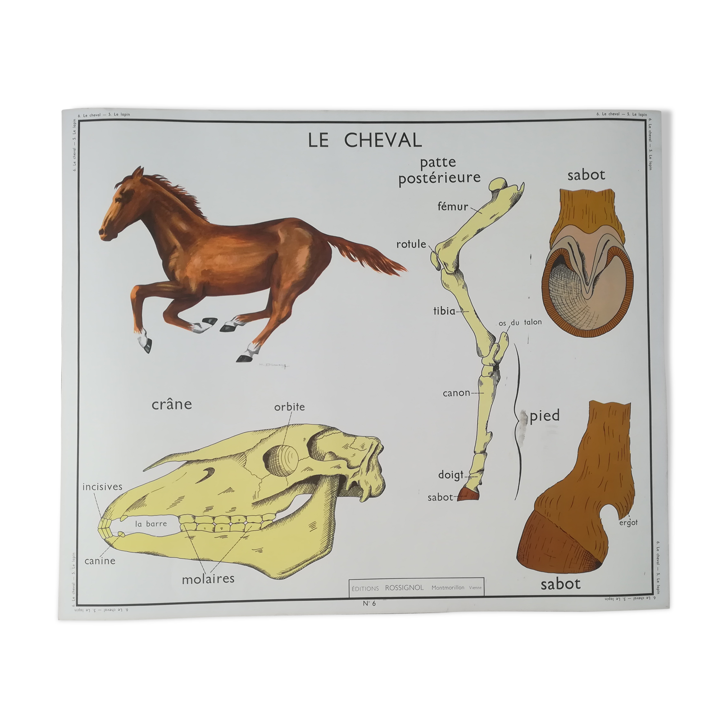Rossignol pedagogical poster "The rabbit and the horse"