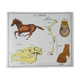 Rossignol pedagogical poster "The rabbit and the horse"