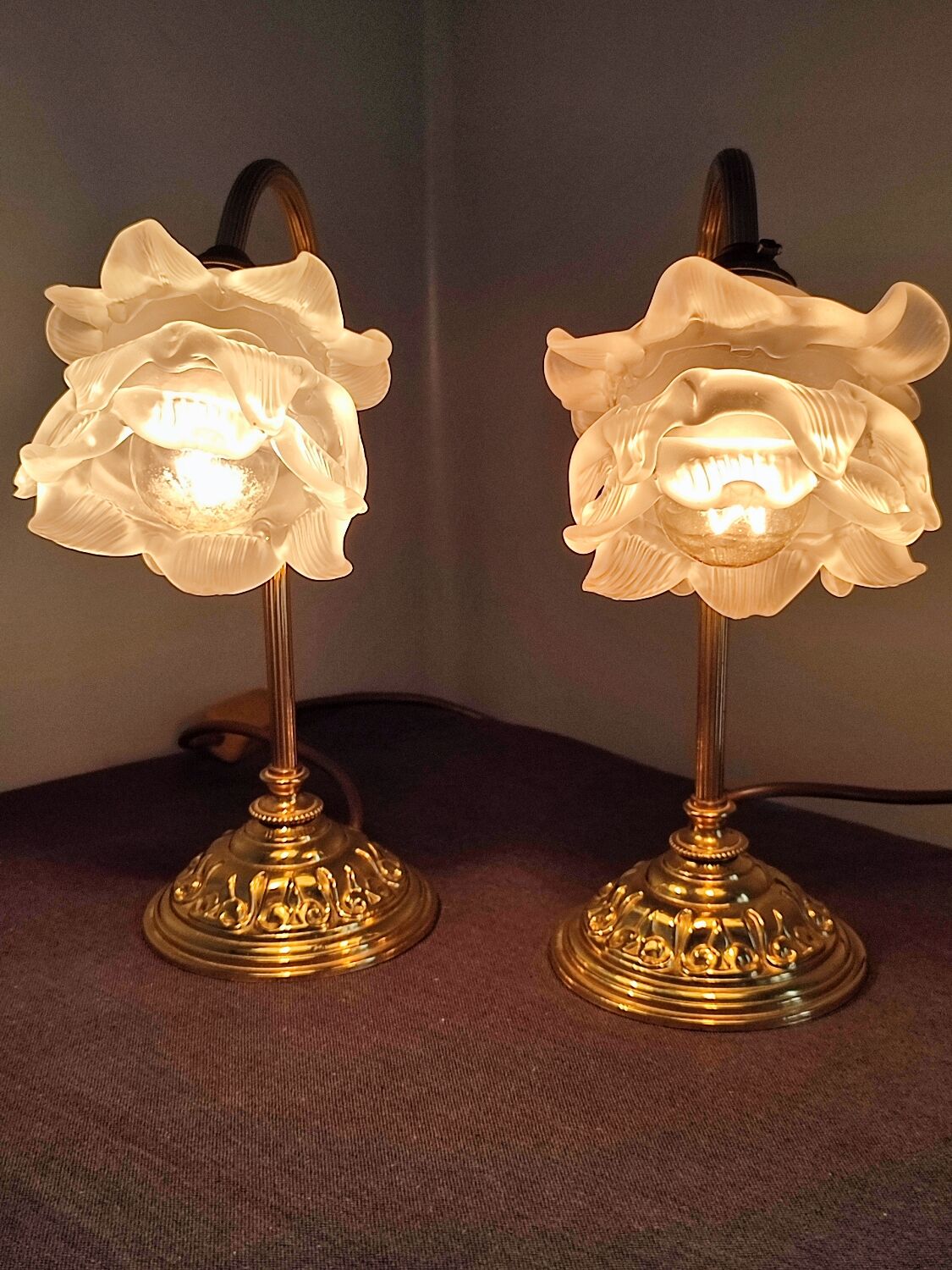 Pair of vintage gooseneck lamp