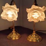 Pair of vintage gooseneck lamp