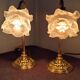 Paire de lampe col de cygne vintage