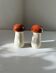 Salière poivrière céramique champignons