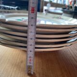 Lots of 6 plates