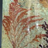 Sculptural lamp ACCOLAY