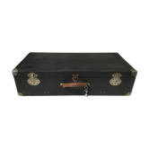 XXL wood trunk case