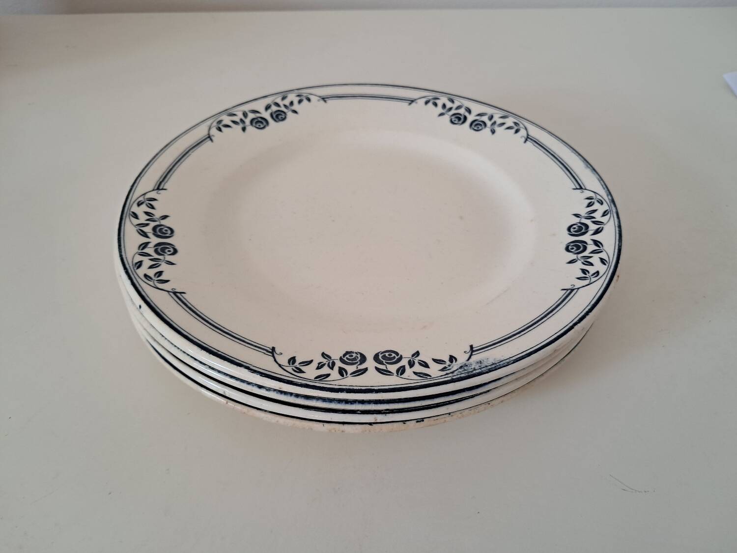 Saussure Saltworks Iron Earth Plates