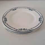 Saussure Saltworks Iron Earth Plates