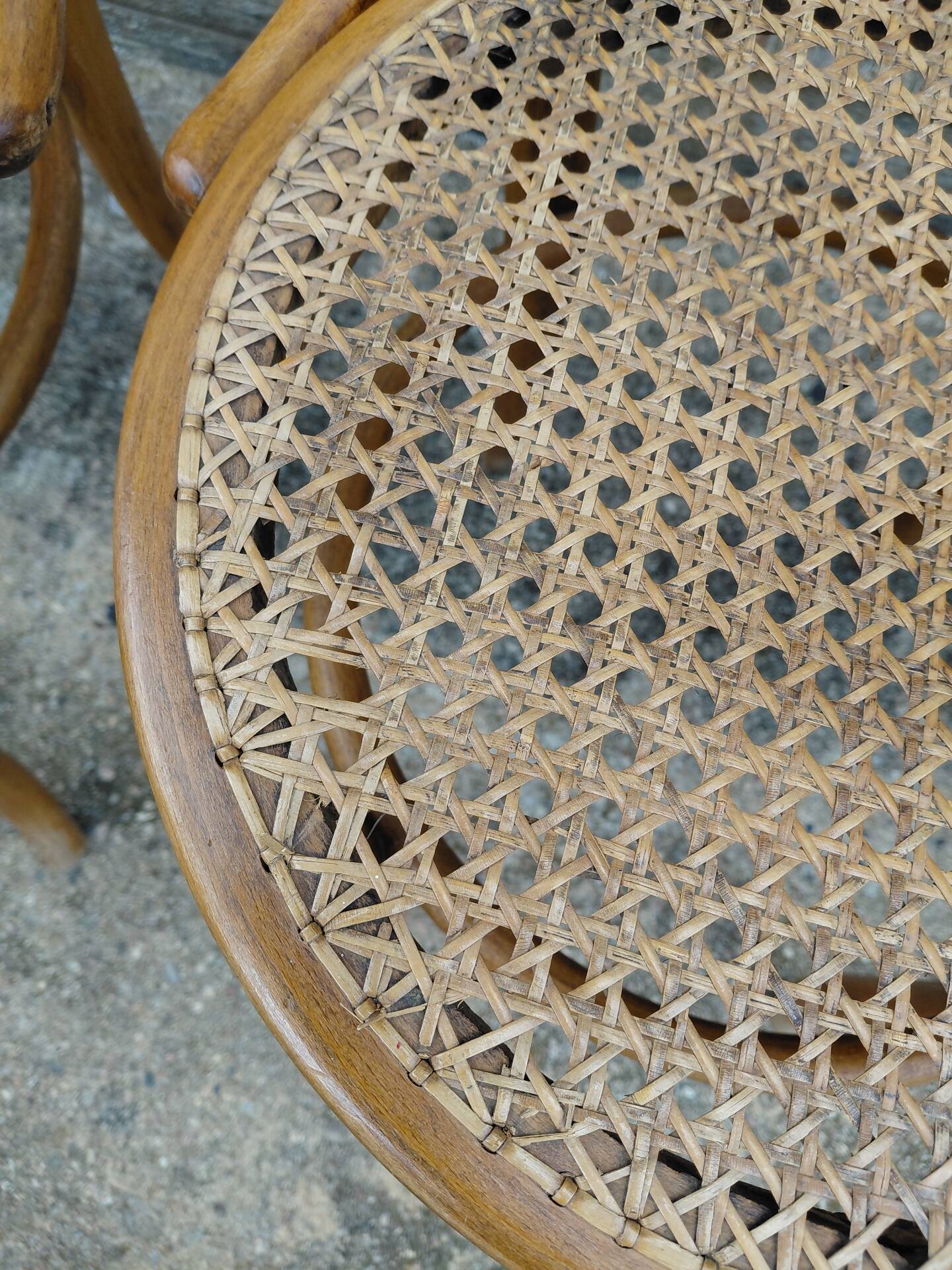 chaises Thonet à l'unité