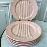 Set of 5 villeroy & boch pink asparagus plates in 50-60s