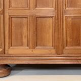 Armoire à panneaux en chêne antique du XIXe siècle