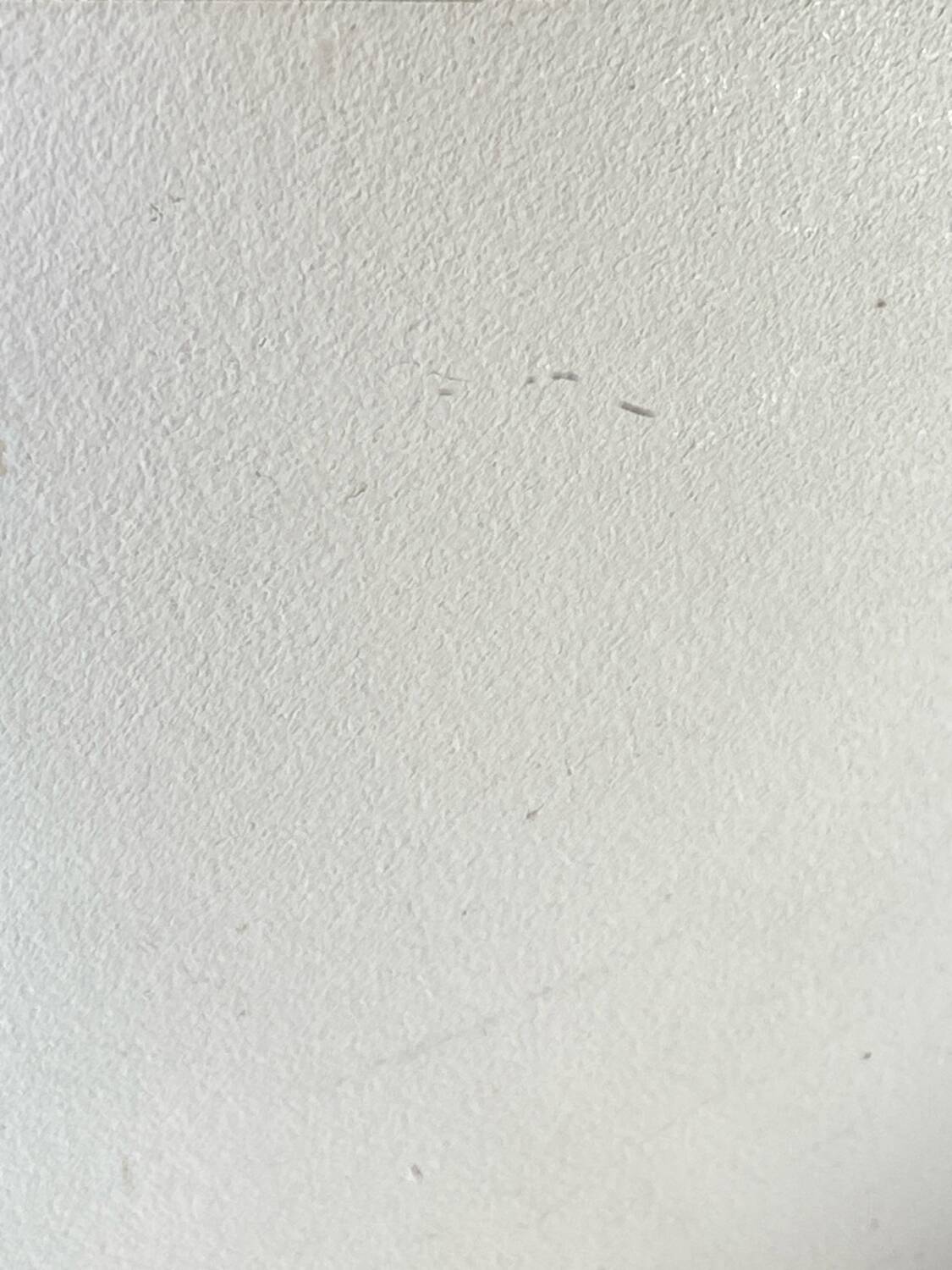 Triptych barber mirror, 1960, houndstooth back