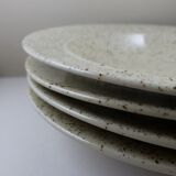 Speckled sandstone plates