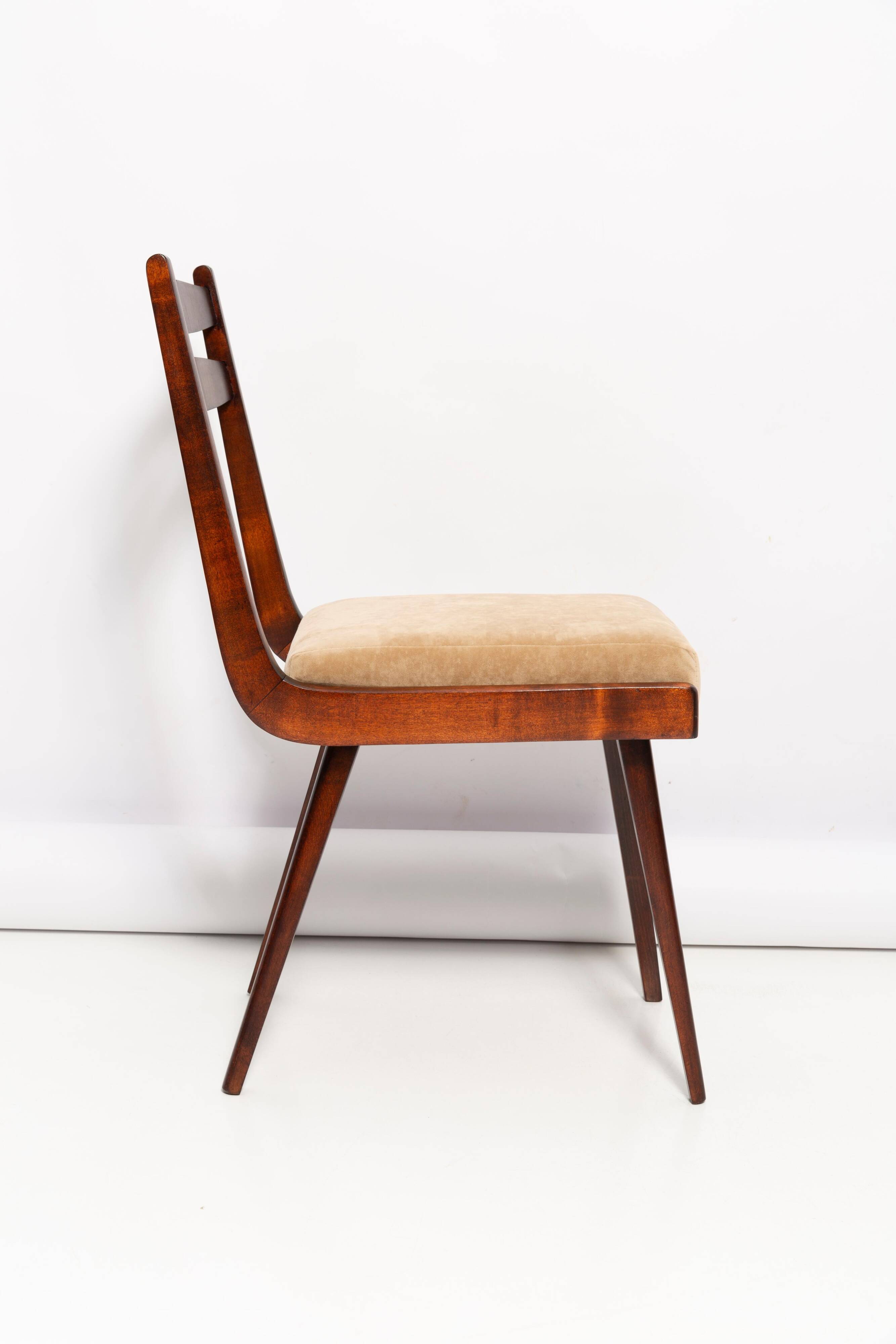 Chaise Mid Century Gazelle II en Velours Beige et Bois de Hêtre, Europe, 1960s