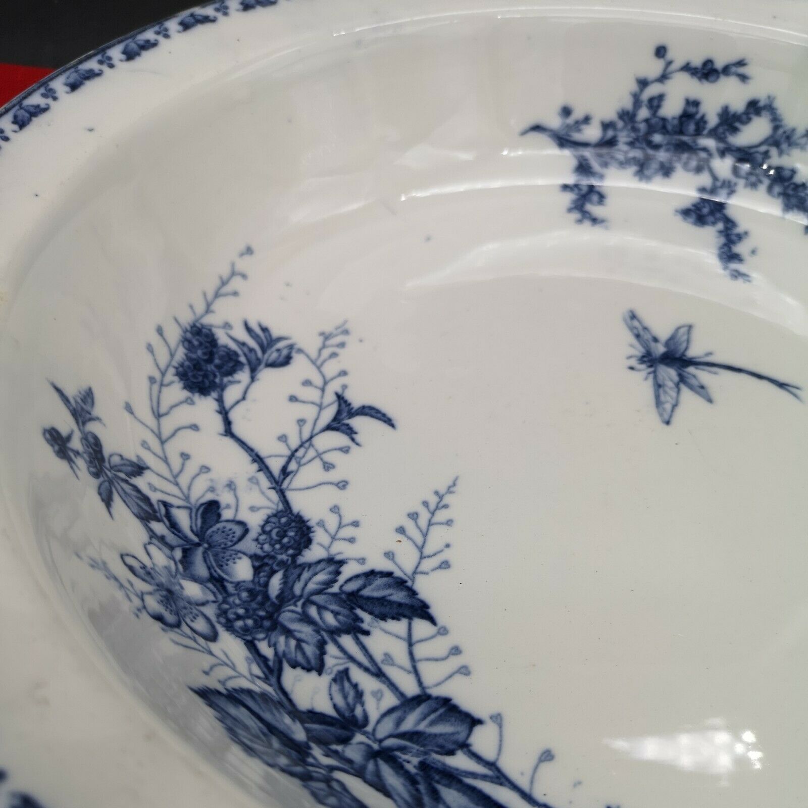 Hollow round flat in Sarreguemines earthenware model Carmen butterfly