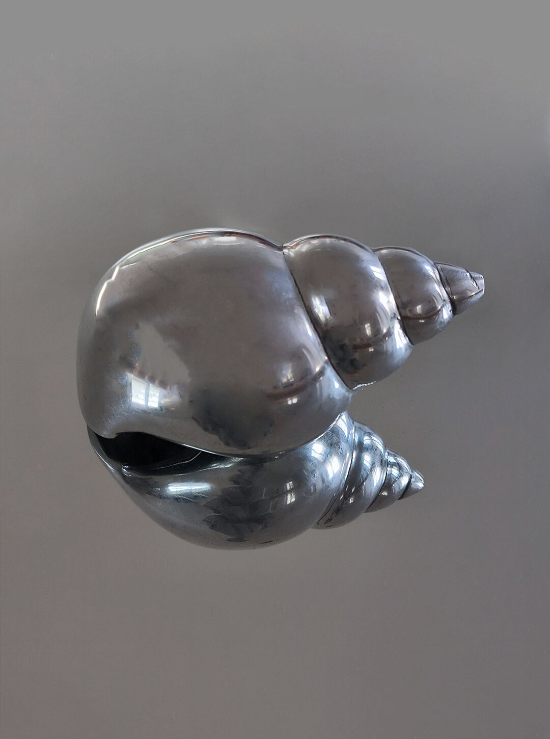 Brass shell sculpture