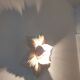Wall light flower lamp leaves beige metal 30cm