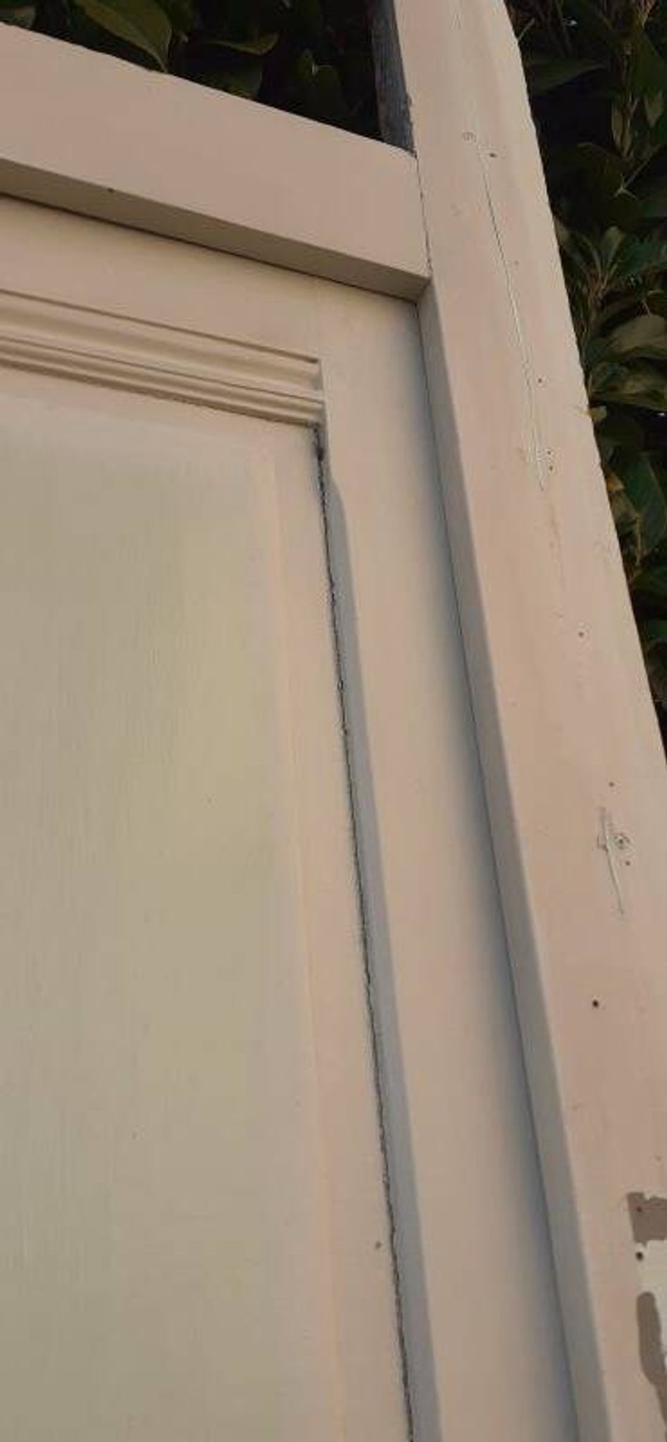 81.2x212 door and old molded paneled communication frame