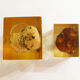 2 inclusions resin Mushrooms