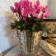 Antique molded glass ice bucket