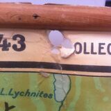 School map ancient Greece