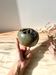 Vintage ceramic flower pick