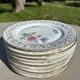 Small Dessert Plates - Limoges Porcelain - Mehun Enamels