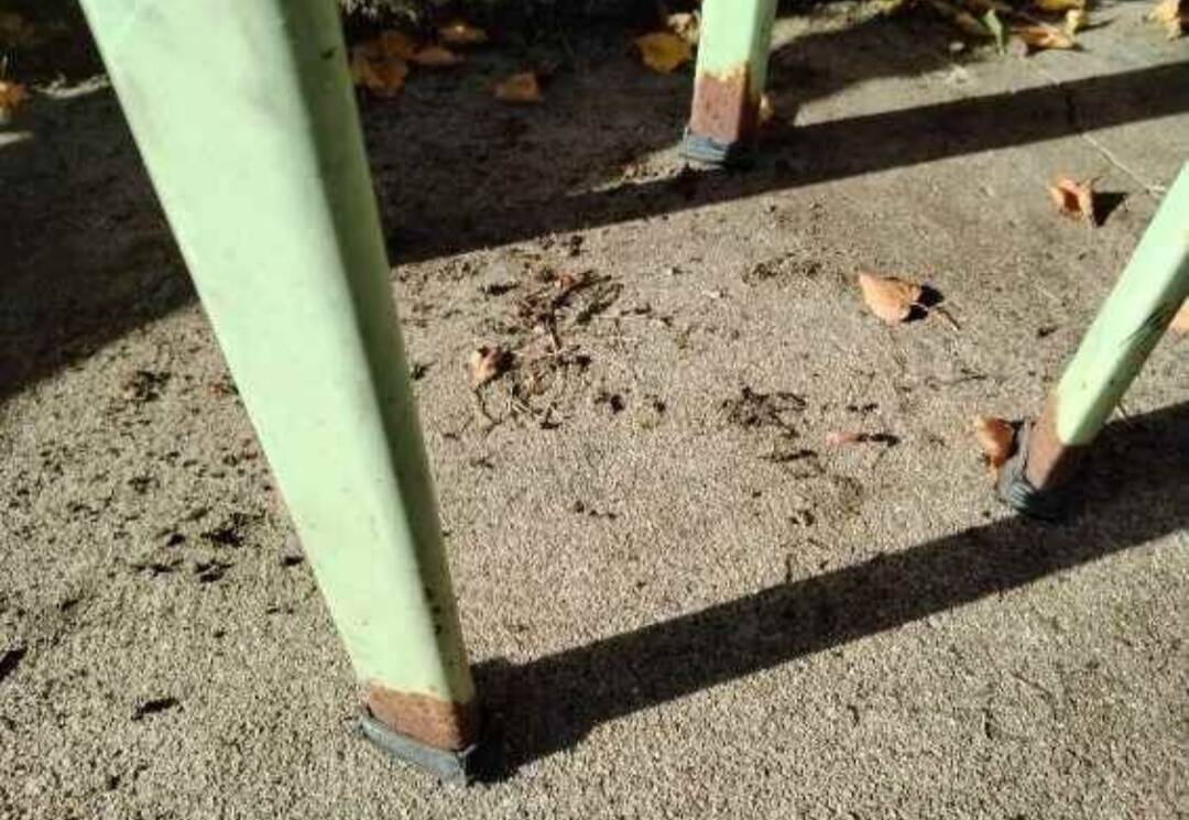 Paire de chaises de bar de couleur verte style usine