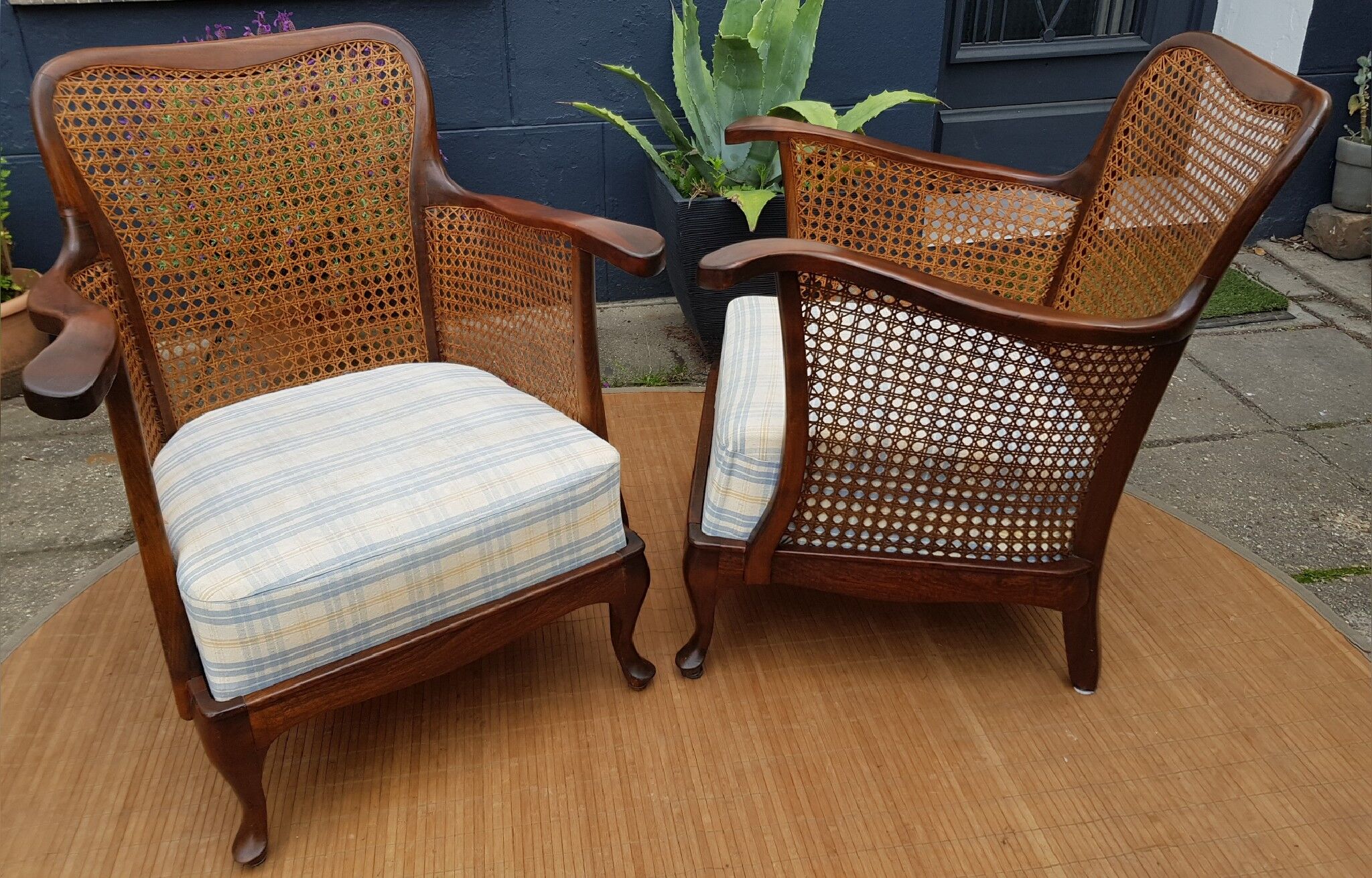 English canine armchair