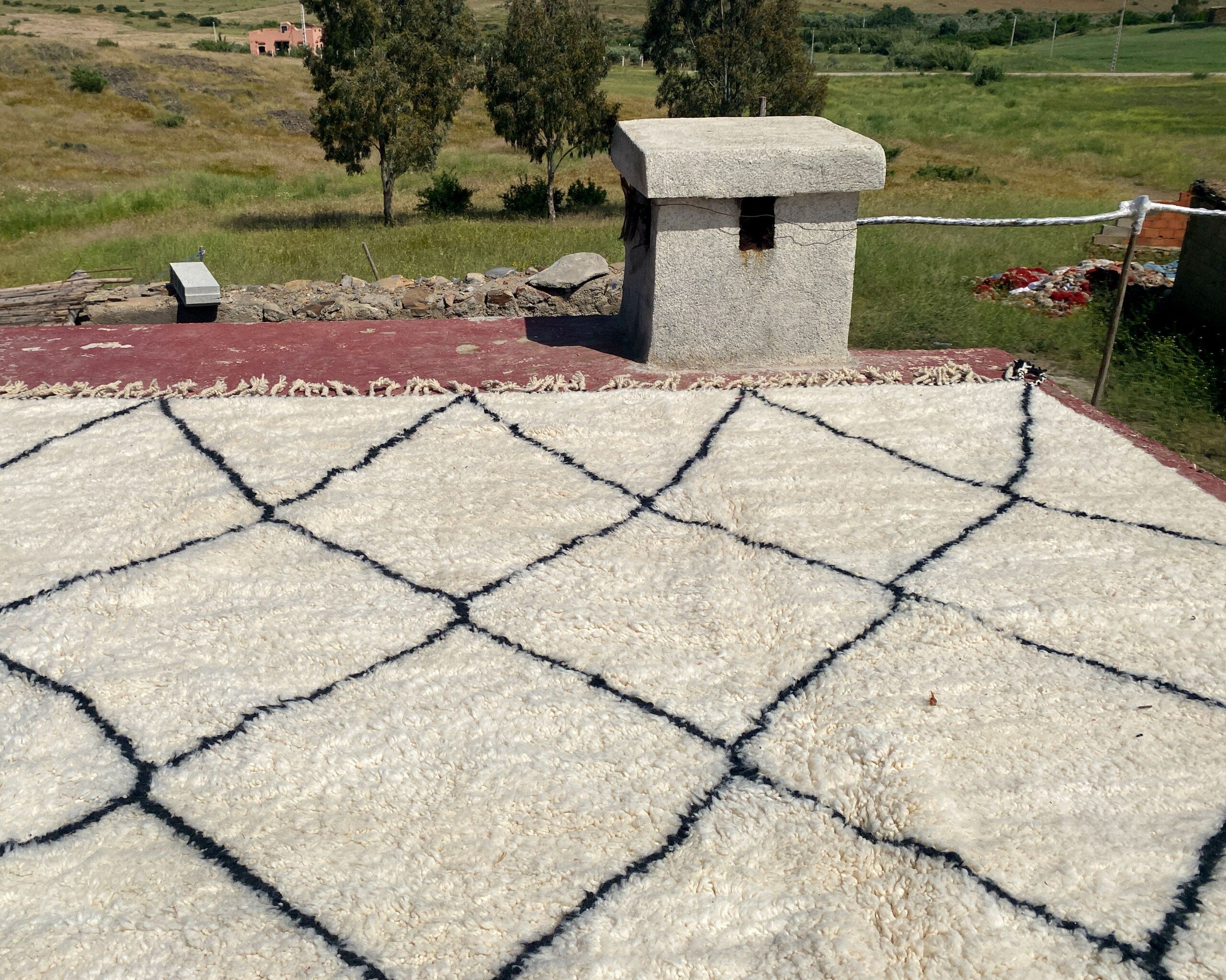 Very large vintage Beni Ouarain rug in cream wool with black diamonds, 426x344cm.