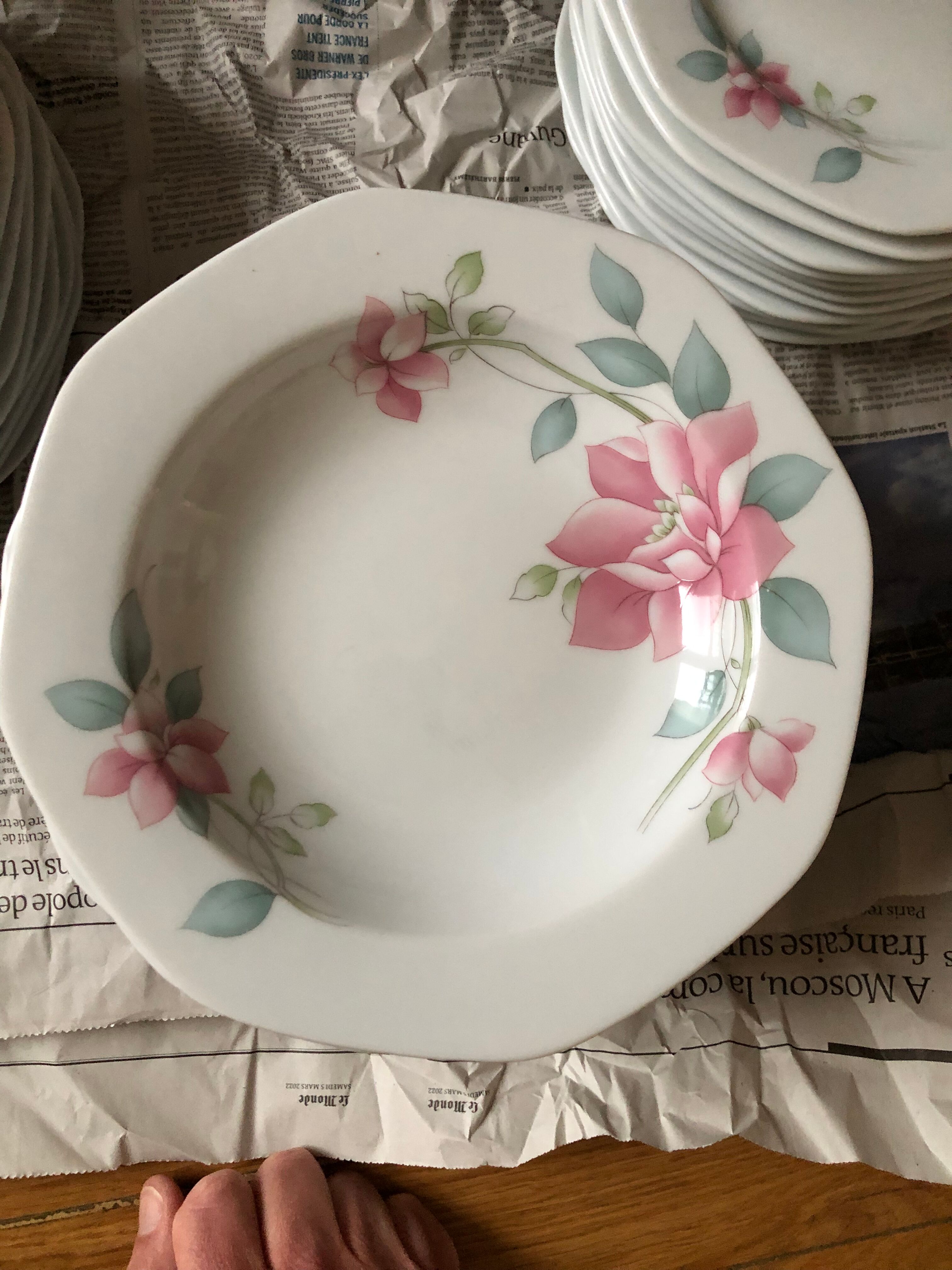 Porcelain plate service