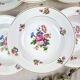 6 hollow plates iron earth salins model "anny" floral pattern