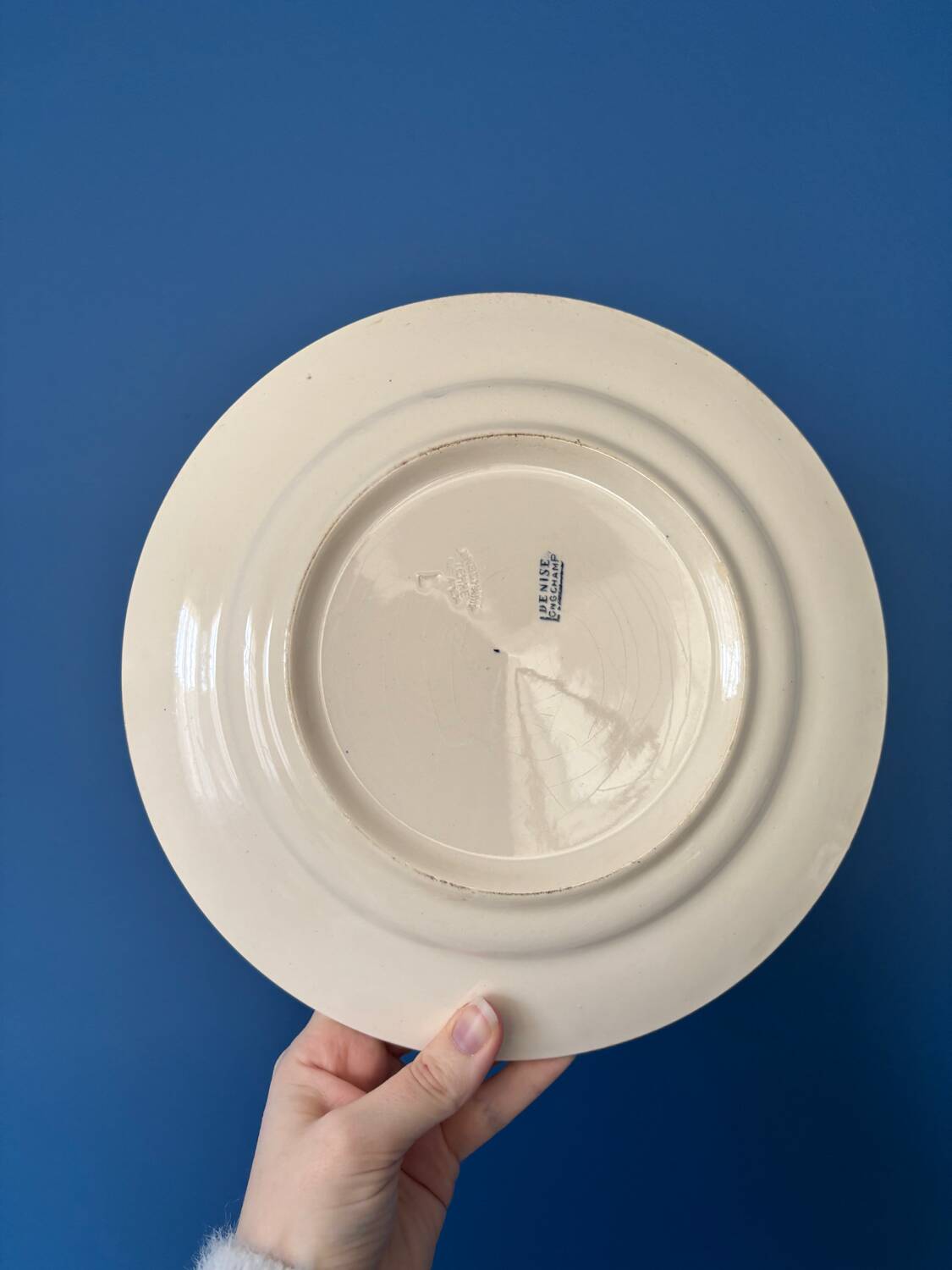 Set of 8 flat plates in Longchamp ironstone model Denise.