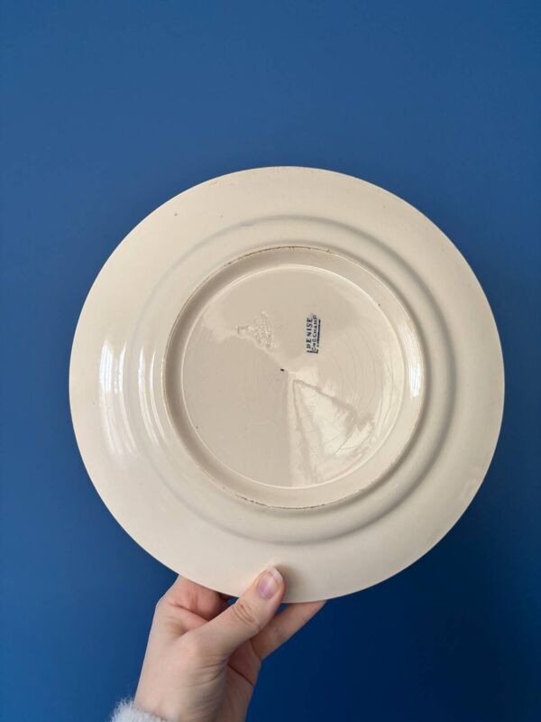 Lot de 8 assiettes plates terre de fer Longchamp modele Denise